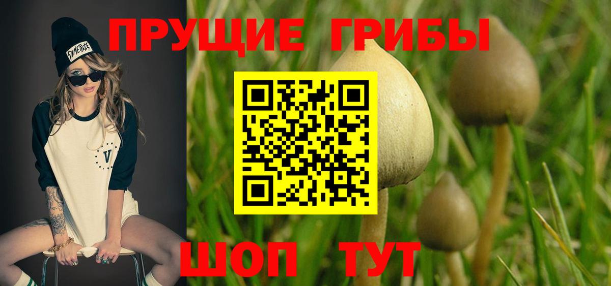Псилоцибиновые грибы мухоморы  Вход с VPN  продажа наркотиков  Лысьва 