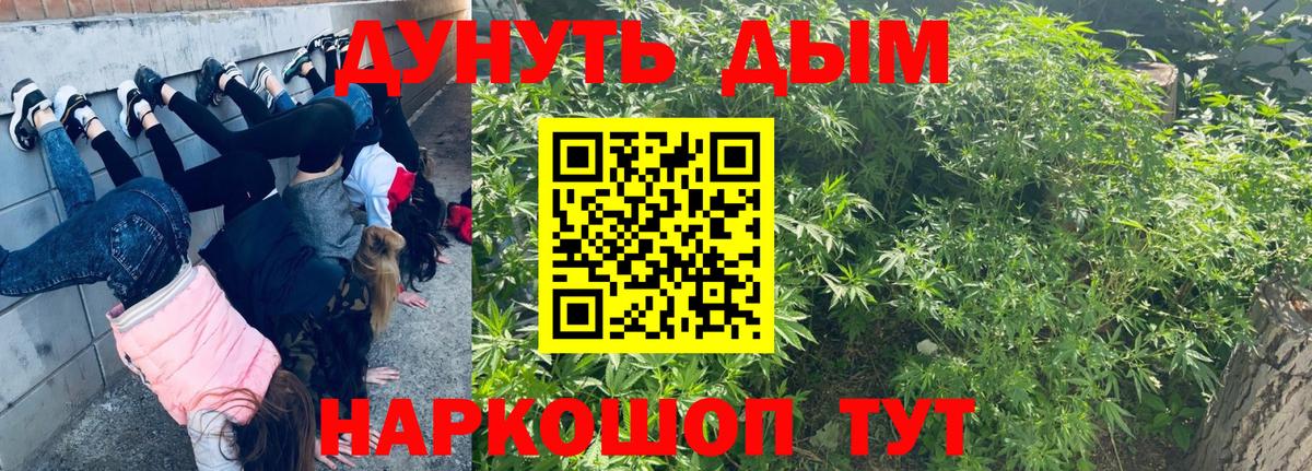 Каннабис конопля Лысьва